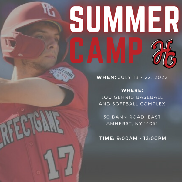 Summer Baseball Camp (LG #1)